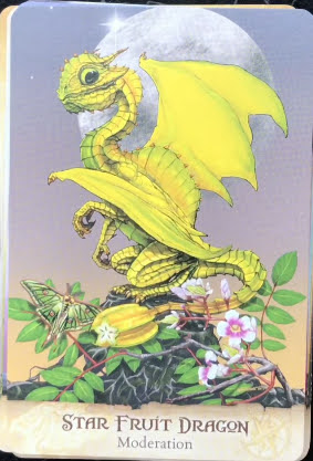 Field Guide to Garden Dragons